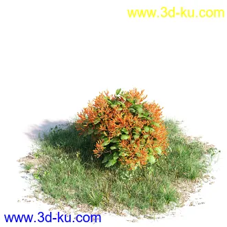 榕树,森林,丛林,栀子花,长隔木,蓝花楹,紫薇,狭叶薰衣草,玉芙蓉,女贞,植物模型合集的图片15