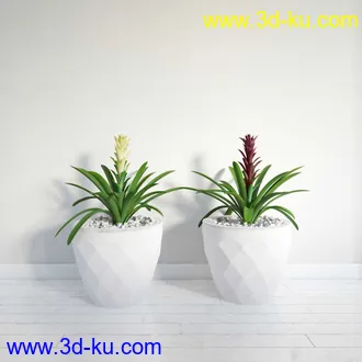 盆栽模型,盆景模型,鲜花模型,花卉模型,花盆,草,室内,花模型共48个的图片1