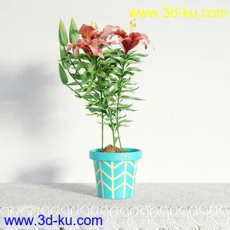 盆栽模型,盆景模型,鲜花模型,花卉模型,花盆,草,室内,花模型共48个的图片2