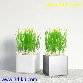 盆栽模型,盆景模型,鲜花模型,花卉模型,花盆,草,室内,花模型共48个的图片