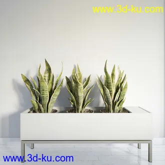 盆栽模型,盆景模型,鲜花模型,花卉模型,花盆,草,室内,花模型共48个的图片