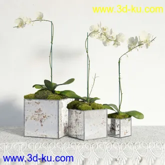 盆栽模型,盆景模型,鲜花模型,花卉模型,花盆,草,室内,花模型共48个的图片
