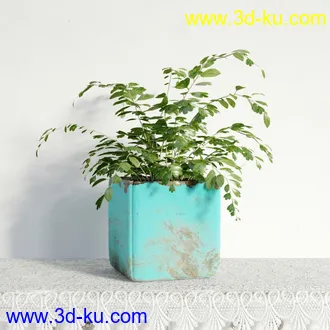 盆栽模型,盆景模型,鲜花模型,花卉模型,花盆,草,室内,花模型共48个的图片