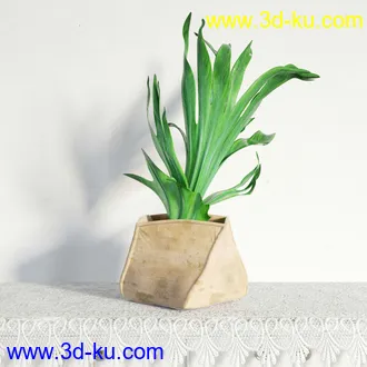盆栽模型,盆景模型,鲜花模型,花卉模型,花盆,草,室内,花模型共48个的图片