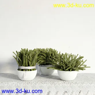 盆栽模型,盆景模型,鲜花模型,花卉模型,花盆,草,室内,花模型共48个的图片