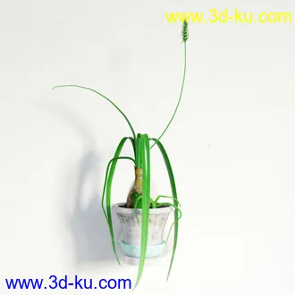 盆栽模型,盆景模型,鲜花模型,花卉模型,花盆,草,室内,花模型共48个的图片