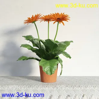 盆栽模型,盆景模型,鲜花模型,花卉模型,花盆,草,室内,花模型共48个的图片