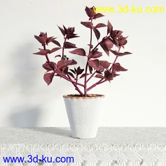 盆栽模型,盆景模型,鲜花模型,花卉模型,花盆,草,室内,花模型共48个的图片