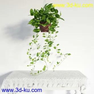 盆栽模型,盆景模型,鲜花模型,花卉模型,花盆,草,室内,花模型共48个的图片