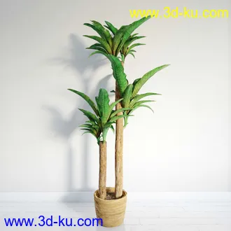盆栽模型,盆景模型,鲜花模型,花卉模型,花盆,草,室内,花模型共48个的图片