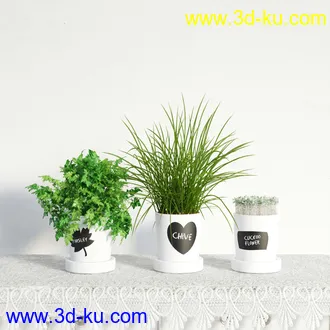 盆栽模型,盆景模型,鲜花模型,花卉模型,花盆,草,室内,花模型共48个的图片