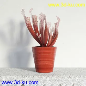 盆栽模型,盆景模型,鲜花模型,花卉模型,花盆,草,室内,花模型共48个的图片