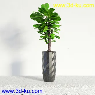 盆栽模型,盆景模型,鲜花模型,花卉模型,花盆,草,室内,花模型共48个的图片