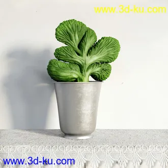 盆栽模型,盆景模型,鲜花模型,花卉模型,花盆,草,室内,花模型共48个的图片