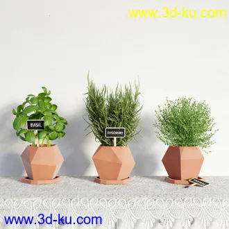 盆栽模型,盆景模型,鲜花模型,花卉模型,花盆,草,室内,花模型共48个的图片