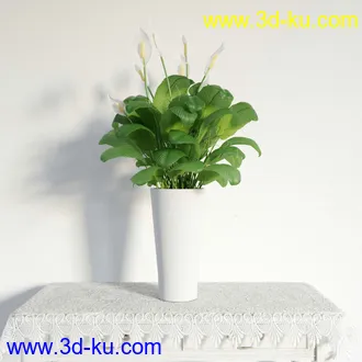 盆栽模型,盆景模型,鲜花模型,花卉模型,花盆,草,室内,花模型共48个的图片26
