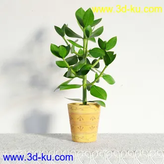 盆栽模型,盆景模型,鲜花模型,花卉模型,花盆,草,室内,花模型共48个的图片