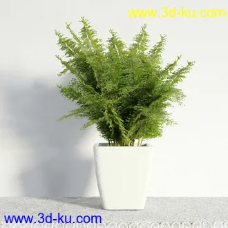 盆栽模型,盆景模型,鲜花模型,花卉模型,花盆,草,室内,花模型共48个的图片