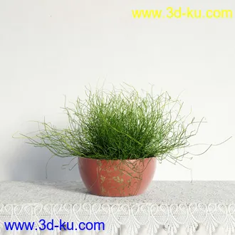 盆栽模型,盆景模型,鲜花模型,花卉模型,花盆,草,室内,花模型共48个的图片