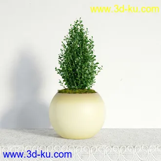 盆栽模型,盆景模型,鲜花模型,花卉模型,花盆,草,室内,花模型共48个的图片35