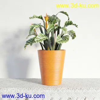 盆栽模型,盆景模型,鲜花模型,花卉模型,花盆,草,室内,花模型共48个的图片36