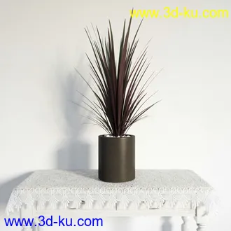 盆栽模型,盆景模型,鲜花模型,花卉模型,花盆,草,室内,花模型共48个的图片37