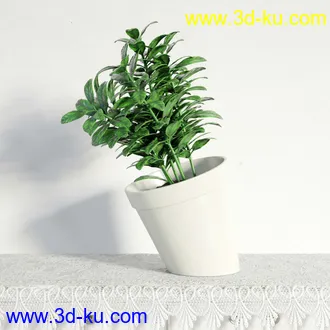 盆栽模型,盆景模型,鲜花模型,花卉模型,花盆,草,室内,花模型共48个的图片38