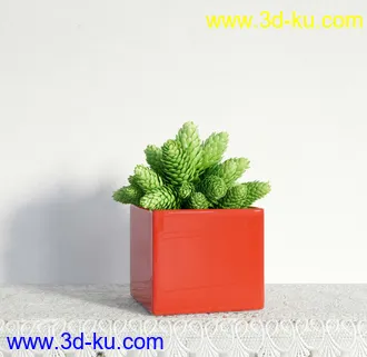 盆栽模型,盆景模型,鲜花模型,花卉模型,花盆,草,室内,花模型共48个的图片39
