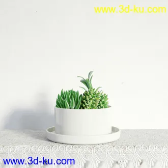 盆栽模型,盆景模型,鲜花模型,花卉模型,花盆,草,室内,花模型共48个的图片40