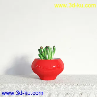 盆栽模型,盆景模型,鲜花模型,花卉模型,花盆,草,室内,花模型共48个的图片42