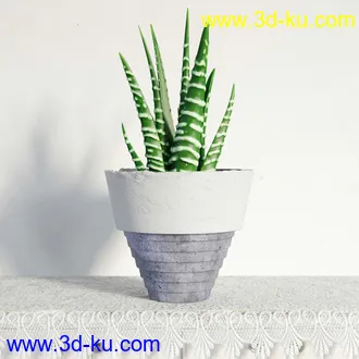 盆栽模型,盆景模型,鲜花模型,花卉模型,花盆,草,室内,花模型共48个的图片44