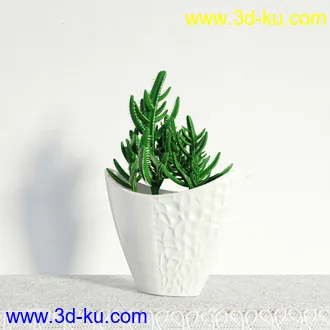 盆栽模型,盆景模型,鲜花模型,花卉模型,花盆,草,室内,花模型共48个的图片47
