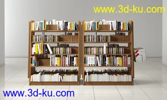 商店,笔记本电脑,数码相机,MP3,光碟,光盘,化妆品,橱柜,书籍,书本,货物架,超市,商场模型合集的图片