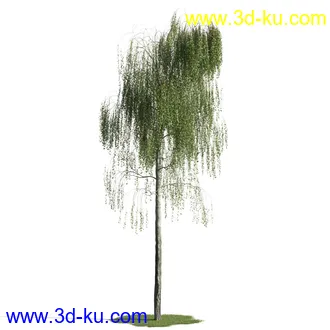 树木模型,植物模型,乔木模型,茂盛树木模型共54个的图片