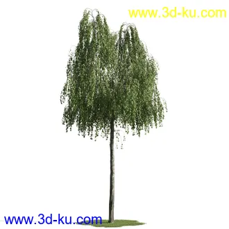 树木模型,植物模型,乔木模型,茂盛树木模型共54个的图片