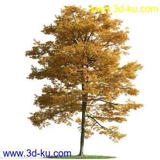 树木模型,植物模型,乔木模型,茂盛树木模型共54个的图片