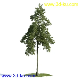 树木模型,植物模型,乔木模型,茂盛树木模型共54个的图片