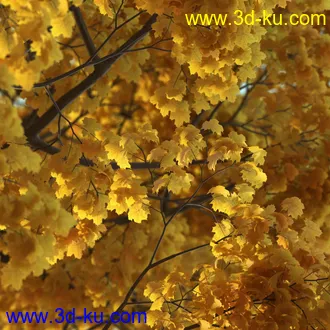 树木模型,植物模型,乔木模型,茂盛树木模型共54个的图片