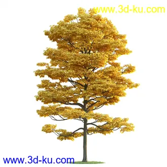 树木模型,植物模型,乔木模型,茂盛树木模型共54个的图片27