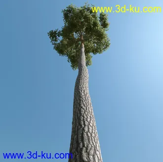 树木模型,植物模型,乔木模型,茂盛树木模型共54个的图片48