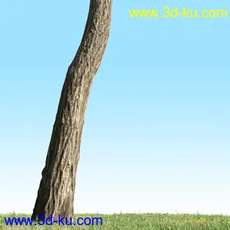 树木模型,植物模型,乔木模型,茂盛树木模型共54个的图片52