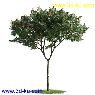 树木模型,植物模型,乔木模型,茂盛树木模型共54个的图片59