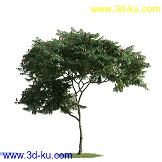 树木模型,植物模型,乔木模型,茂盛树木模型共54个的图片65