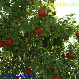 树木模型,植物模型,乔木模型,茂盛树木模型共54个的图片66