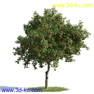 树木模型,植物模型,乔木模型,茂盛树木模型共54个的图片70