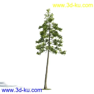 树木模型,植物模型,乔木模型,大树,茂盛树木模型共54个的图片