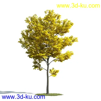 树木模型,植物模型,乔木模型,大树,茂盛树木模型共54个的图片