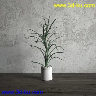 鲜花模型,花瓶,花盆,花樽,盆景,盆栽,模型,绿色植物,室内植物模型合集的图片6