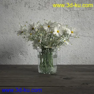 鲜花模型,花瓶,花盆,花樽,盆景,盆栽,模型,绿色植物,室内植物模型合集的图片13