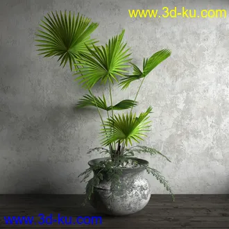 鲜花模型,花瓶,花盆,花樽,盆景,盆栽,模型,绿色植物,室内植物模型合集的图片17